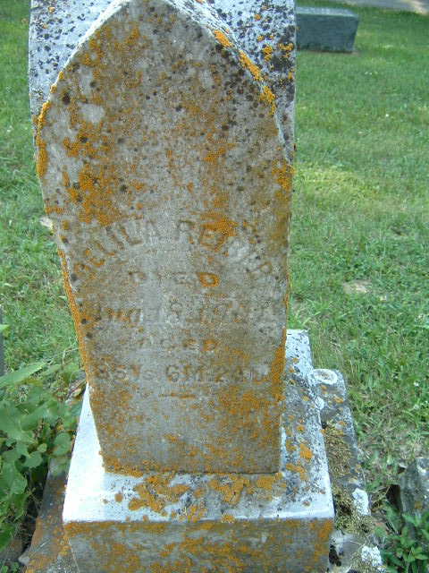 Reiber